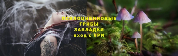 гашиш Михайлов