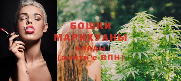 ГАЛЛЮЦИНОГЕННЫЕ ГРИБЫ Надым