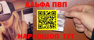 СК Новодвинск