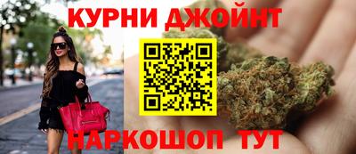 СК Новодвинск