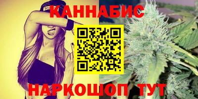 СК Новодвинск