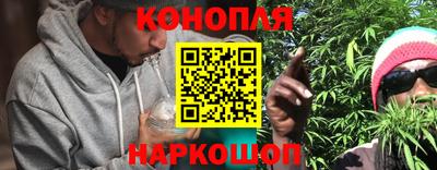 СК Новодвинск