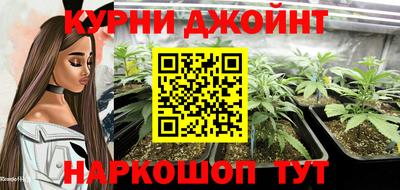 дмт Новозыбков