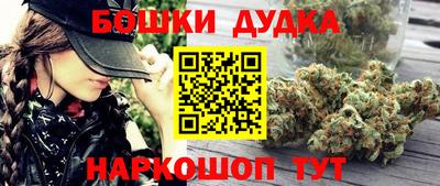 гидра Абакан