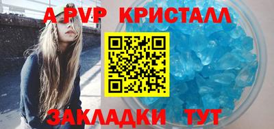 СК Новодвинск