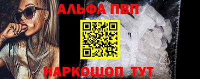 СК Новодвинск