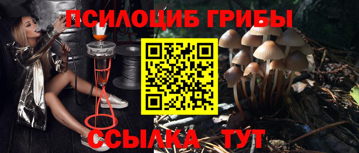 Галлюциногенные грибы Magic Shrooms  Псилоцибиновые грибы Psilocybine cubensis  Вход с VPN  Острогожск 